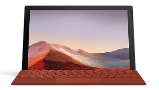 龙潭清洁和维护 Surface